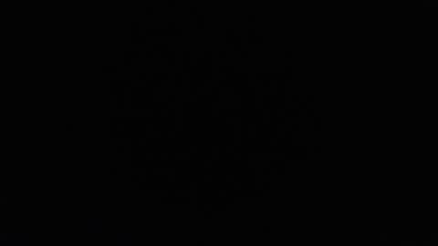 Snapshot of harry_reems_ chatting on 01/23/25, 06:45 OMAR online show from 01/23/25, 06:45