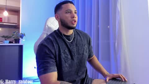 Snapshot of harry_zandess chatting on 01/28/25, 03:47 Harry Zandes online show from 01/28/25, 03:47