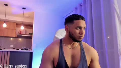 Snapshot of harry_zandess chatting on 01/29/25, 06:12 Harry Zandes online show from 01/29/25, 06:12