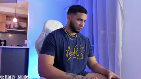 Snapshot of harry_zandess chatting on 02/01/25, 03:52 Harry Zandes online show from 02/01/25, 03:52