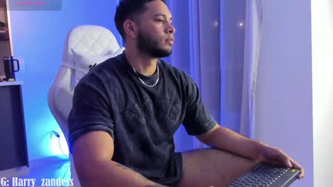 Snapshot of harry_zandess chatting on 02/06/25, 04:21 Harry Zandes online show from 02/06/25, 04:21