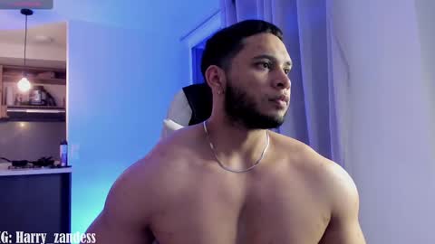 Snapshot of harry_zandess chatting on 02/10/25, 07:15 Harry Zandes online show from 02/10/25, 07:15