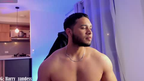 Snapshot of harry_zandess chatting on 02/11/25, 07:54 Harry Zandes online show from 02/11/25, 07:54