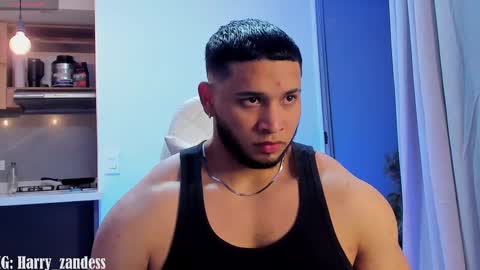 Snapshot of harry_zandess chatting on 02/13/25, 04:22 Harry Zandes online show from 02/13/25, 04:22