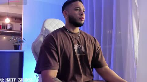 Snapshot of harry_zandess chatting on 02/19/25, 05:38 Harry Zandes online show from 02/19/25, 05:38