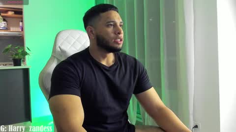 Snapshot of harry_zandess chatting on 02/20/25, 06:17 Harry Zandes online show from 02/20/25, 06:17