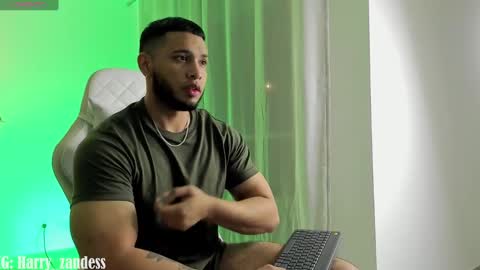 Snapshot of harry_zandess chatting on 02/21/25, 03:23 Harry Zandes online show from 02/21/25, 03:23