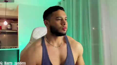 Snapshot of harry_zandess chatting on 02/25/25, 04:03 Harry Zandes online show from 02/25/25, 04:03