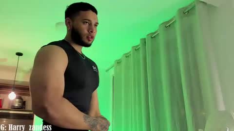 Snapshot of harry_zandess chatting on 02/26/25, 03:42 Harry Zandes online show from 02/26/25, 03:42