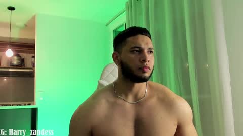 Snapshot of harry_zandess chatting on 02/26/25, 06:47 Harry Zandes online show from 02/26/25, 06:47