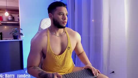 Snapshot of harry_zandess chatting on 02/27/25, 05:34 Harry Zandes online show from 02/27/25, 05:34