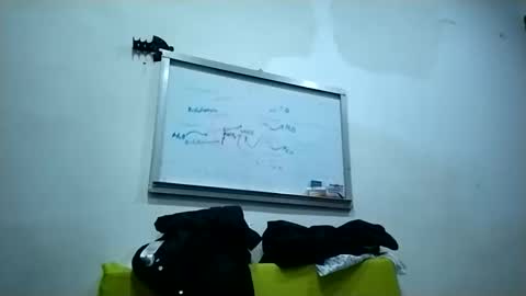 Snapshot of harrybad55 chatting on 11/25/25, 04:45 harrybad55 online show from 11/25/25, 04:45