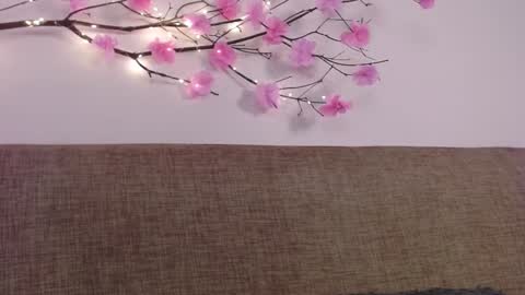 Snapshot of haru_blossom chatting on 01/06/25, 05:06     online show from 01/06/25, 05:06