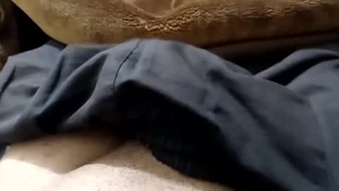 hash86194455 online show from 02/12/25, 04:55