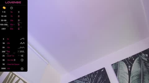 Snapshot of hat_girl chatting on 12/24/24, 02:54 Nicole online show from 12/24/24, 02:54