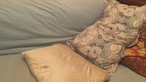 havedream1m online show from 12/17/24, 12:11