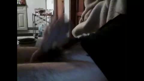 Snapshot of havier282874 chatting on 04/15/26, 09:37 havier282874 online show from 04/15/26, 09:37