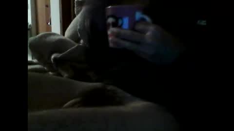 Snapshot of havier282874 chatting on 04/18/26, 07:29 havier282874 online show from 04/18/26, 07:29