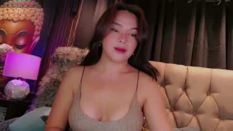 HAYFA online show from 03/06/26, 05:37