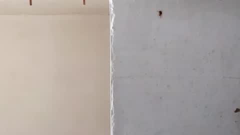 heaven_07 online show from 03/16/26, 11:36