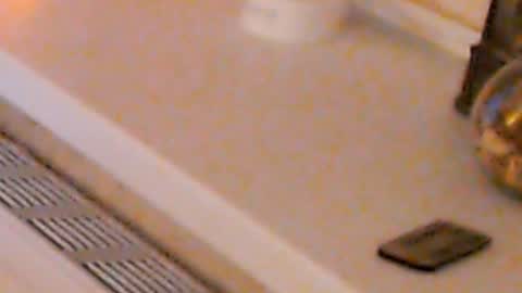 Heaven girl online show from 01/04/25, 02:14