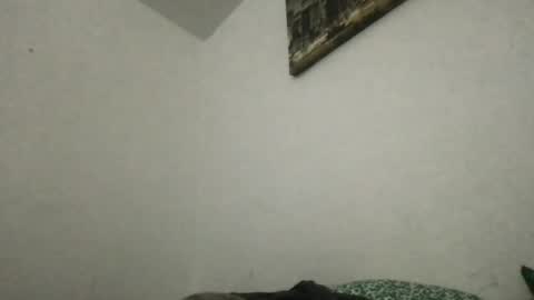 Snapshot of heff919 chatting on 06/20/26, 03:42 Thisisheff online show from 06/20/26, 03:42
