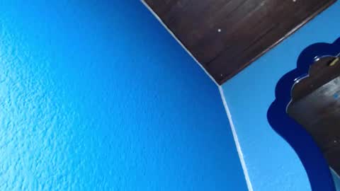 Snapshot of heidi_feuer chatting on 11/15/25, 12:30 heidi_feuer online show from 11/15/25, 12:30