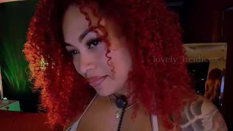 Heidi  online show from 11/14/25, 03:27