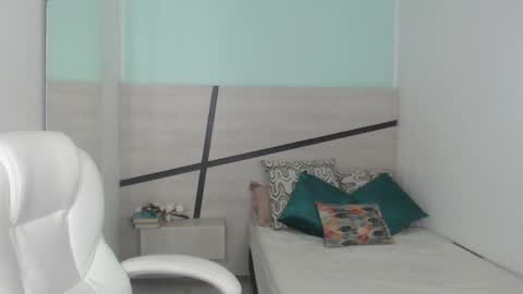 Snapshot of heidy_hoiss chatting on 12/28/24, 02:11 Heidy online show from 12/28/24, 02:11