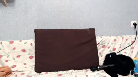 HelenRed online show from 01/18/25, 04:10