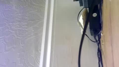 hellobunbunx0 online show from 12/27/24, 04:43