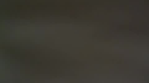 hellohowareyou66 online show from 02/13/25, 06:38