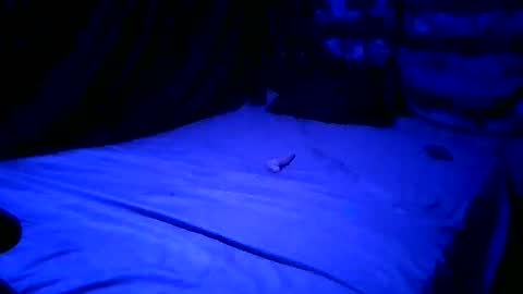 Snapshot of hellsxxsissy chatting on 04/23/26, 08:02 SissyNutsBustedCounter online show from 04/23/26, 08:02