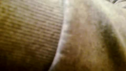 mr D online show from 11/25/25, 05:24