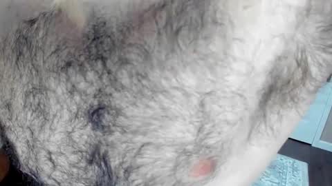 Snapshot of herewego42 chatting on 01/25/25, 02:15 Wade Biggs online show from 01/25/25, 02:15