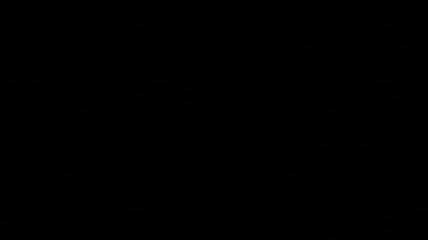 herkimer95 online show from 01/05/25, 11:01