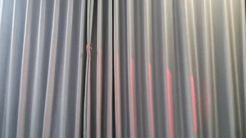 Aran online show from 12/03/25, 08:00