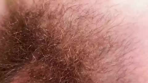 Snapshot of hey_arnold chatting on 12/02/25, 09:21 Arnold online show from 12/02/25, 09:21