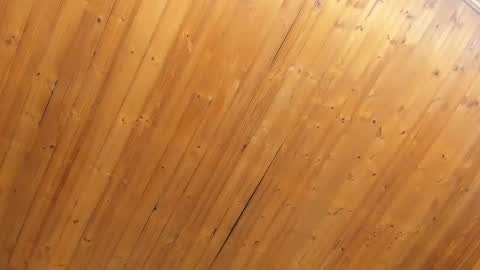 Noraly  online show from 02/04/25, 11:05