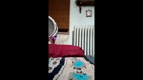 heythatguy2589 online show from 03/21/26, 09:36