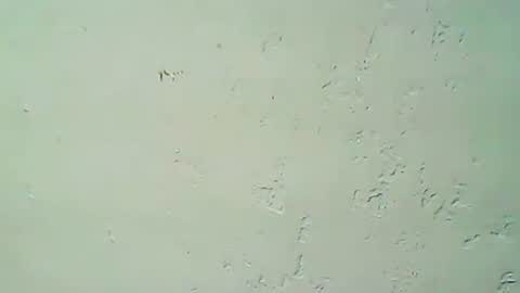 hhhjnf1 online show from 09/20/25, 03:07