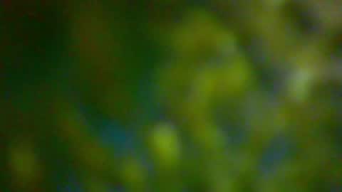 hhhjnf1 online show from 10/06/25, 06:16