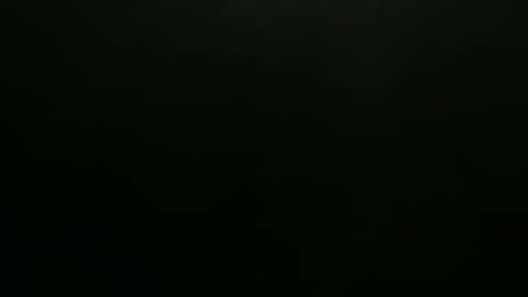 hibus_85 online show from 11/07/25, 01:33