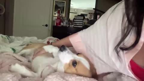 Snapshot of hiddenr0se chatting on 02/14/26, 03:14 HiddenR0se online show from 02/14/26, 03:14