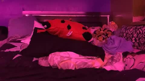 HiGHNESS CANNA online show from 02/11/26, 04:56