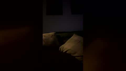 Drake online show from 02/09/26, 06:50