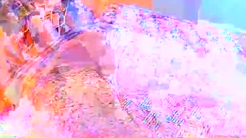 hipapix online show from 04/12/26, 05:07