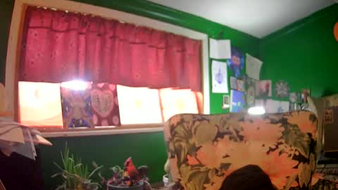 Snapshot of hippiedad333 chatting on 06/16/26, 09:17 hippiedad333 online show from 06/16/26, 09:17