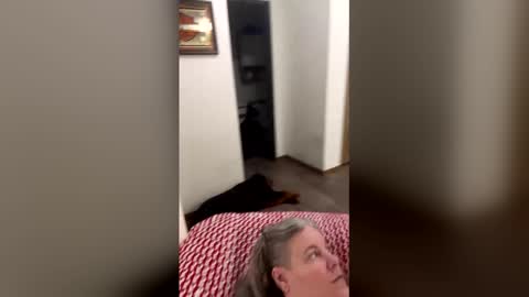 Snapshot of hippysnewhere chatting on 04/23/26, 04:14 hippysnewhere online show from 04/23/26, 04:14