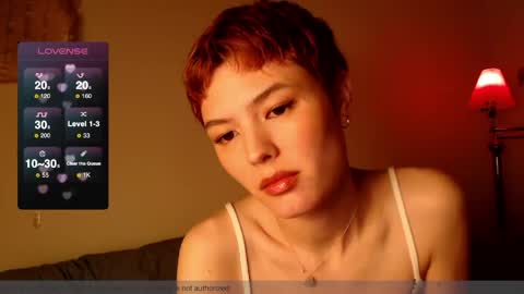 Snapshot of hivivi chatting on 04/13/26, 02:17 Vivi online show from 04/13/26, 02:17